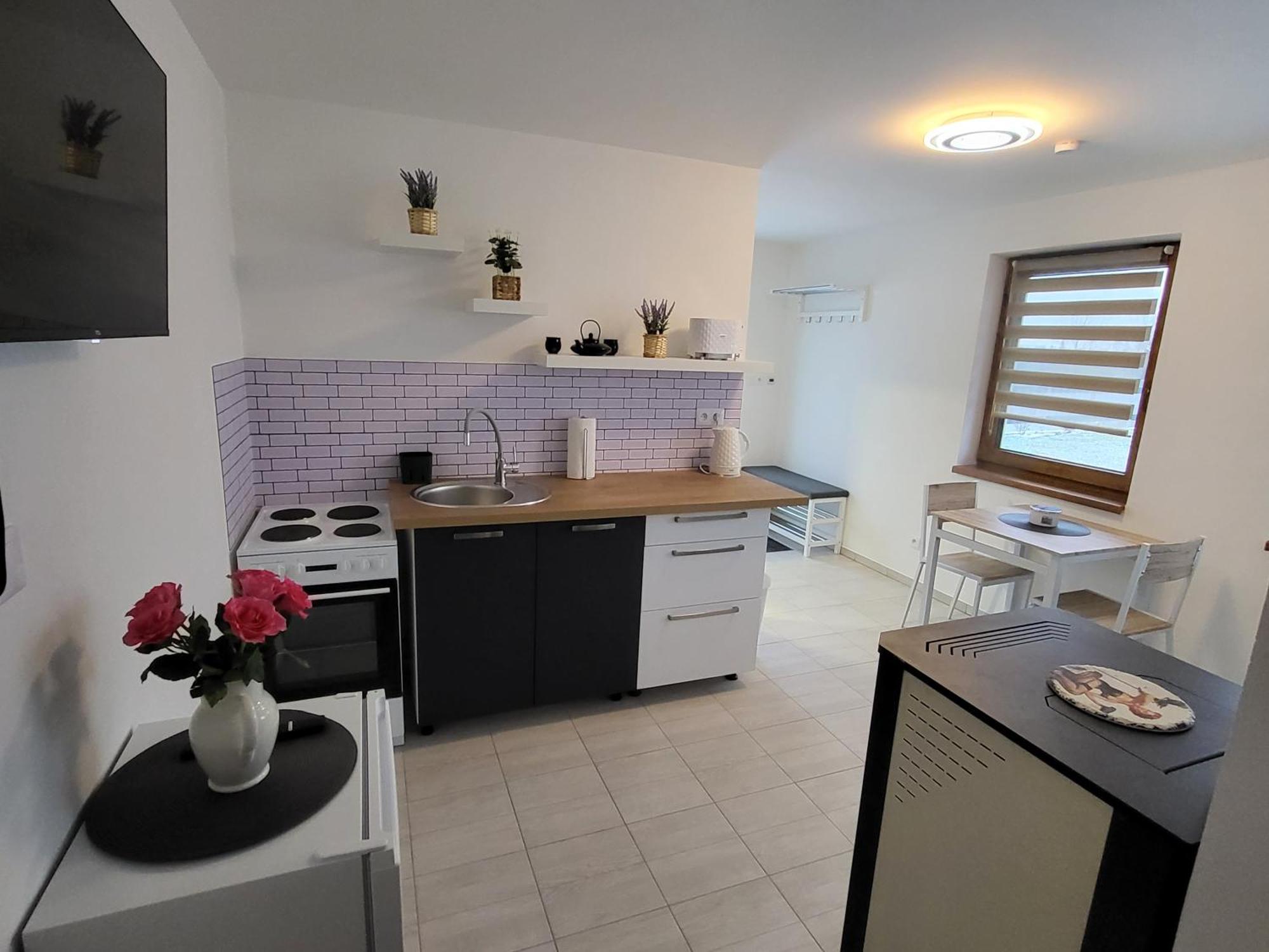 Apartman Na Karlicku Karlov  Exterior foto